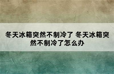 冬天冰箱突然不制冷了 冬天冰箱突然不制冷了怎么办